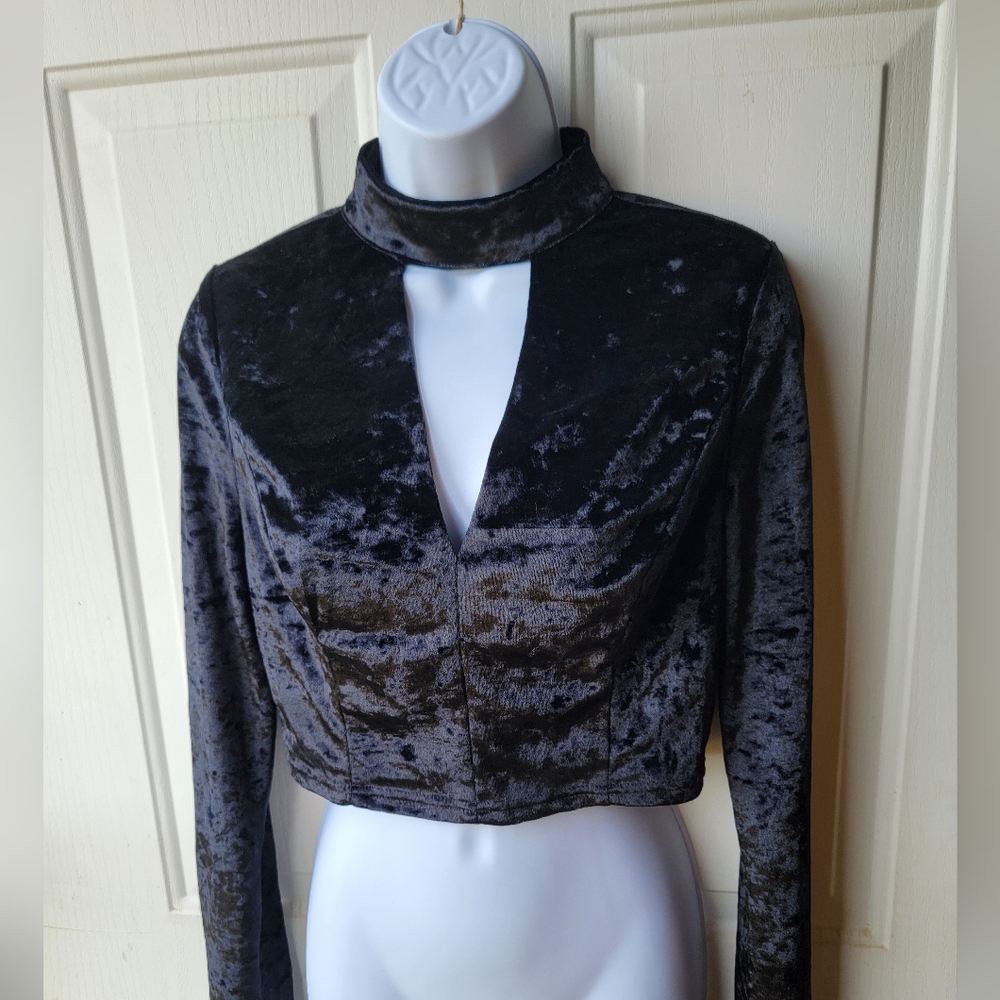 Velvet Cropped Long Sleeve Top Size Medium